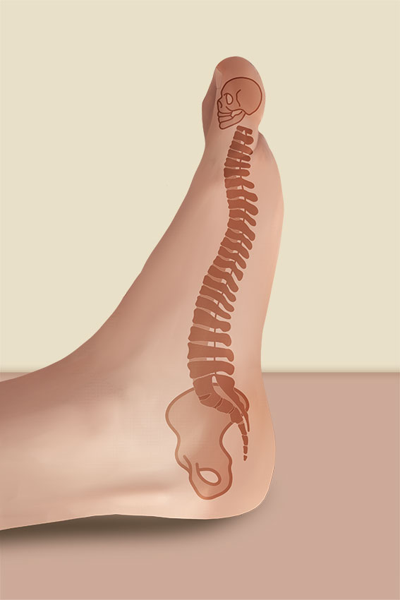 Fußreflexzone Massage Andrea Klaus